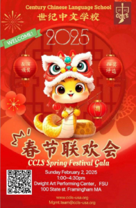 Read more about the article 2025 Spring Festival Gala