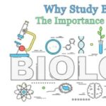 生物学十万个为什么 (2025~2026 new class P3/P4)